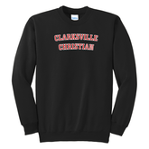 Applique Crewneck Sweatshirt