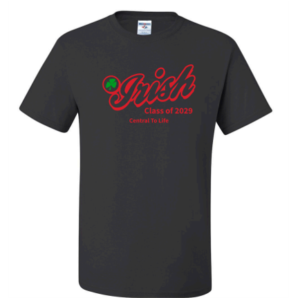 Class of 2029 T-Shirt