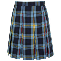 Plaid Skirt