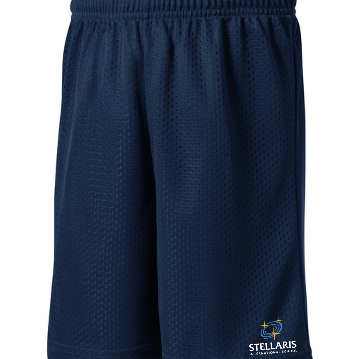 SIS Gym Short